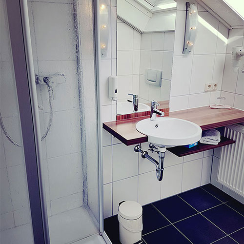 View bathroom Single room Standard